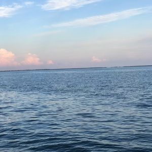 Meet your Posher, Brandi